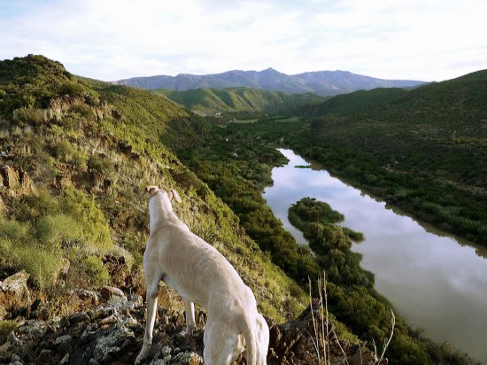 River View Cottages Calitzdorp Buitenkant foto